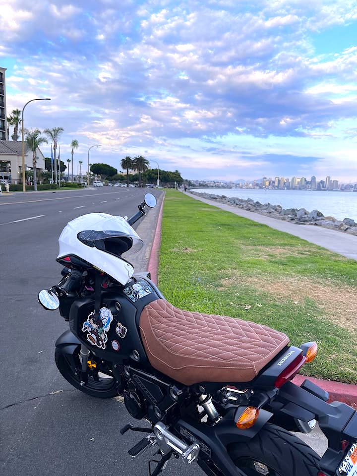 Ready to Ship! 2013-26 Honda Grom MOAB Seat Cover, handmade Honda Grom seat cover by Cheeky Seats, product detail view 2